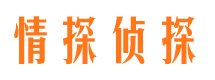 乐东市调查公司